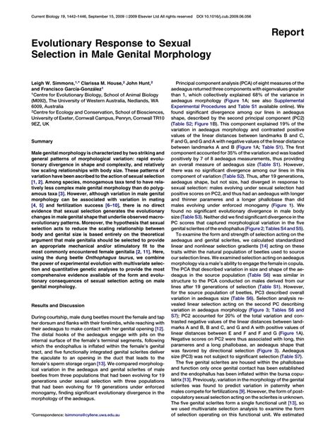 evolutionary purpose of foreskin|Male Genital Morphology and Function: An Evolutionary .